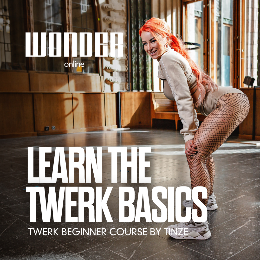 Aprende los conceptos básicos del twerk